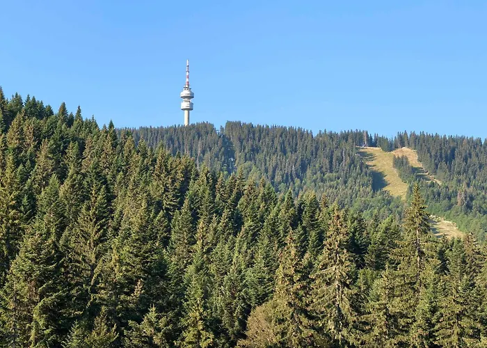 тайната - The Secret Apartment Pamporovo